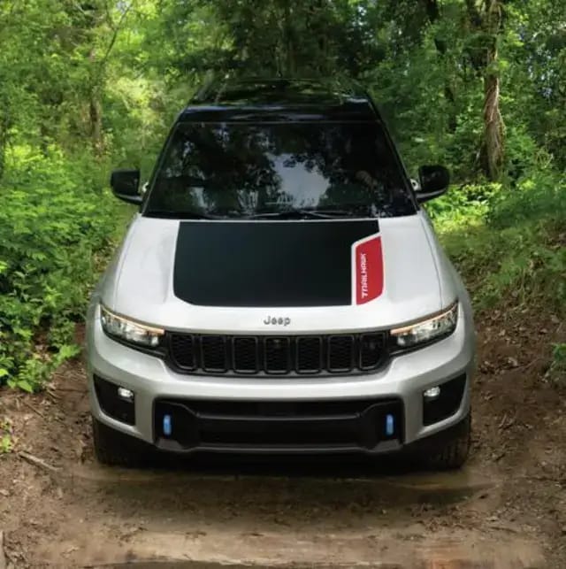 Hood Graphic