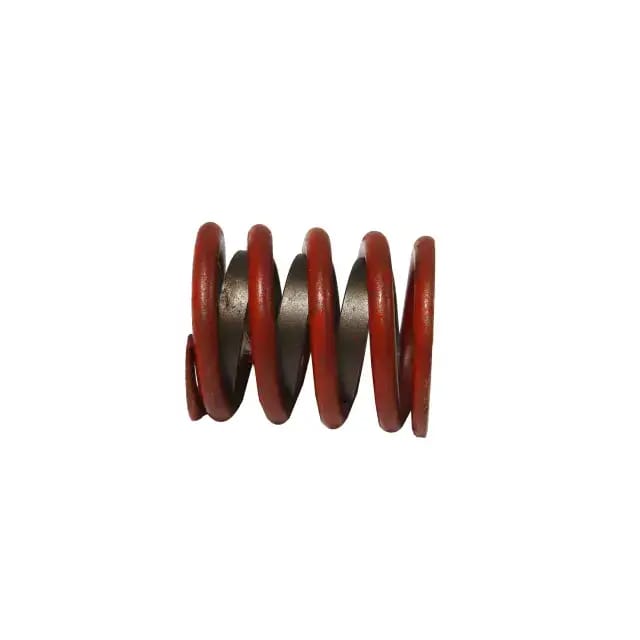 Valve Springs thumbnail 3