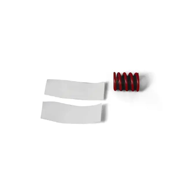 Valve Springs
