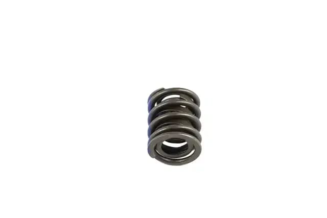 Valve Springs