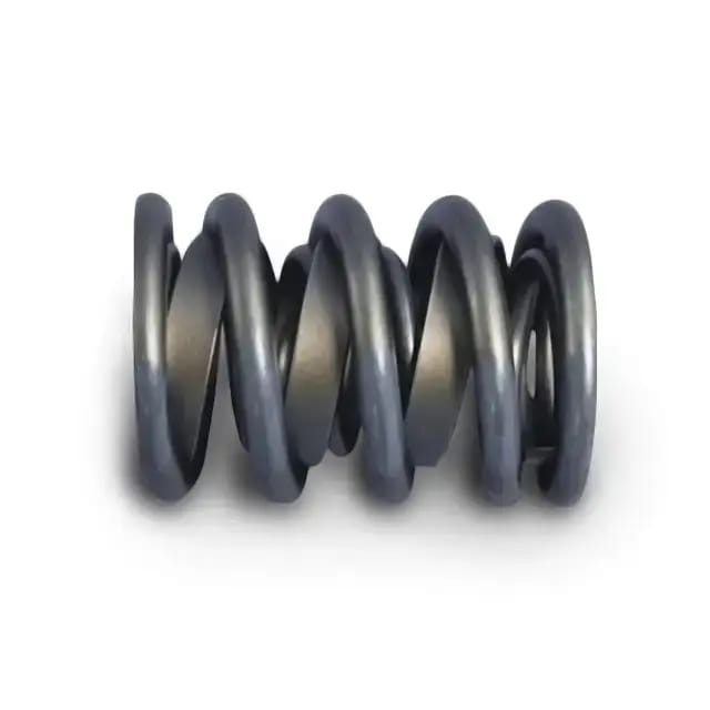 Valve Springs thumbnail 2