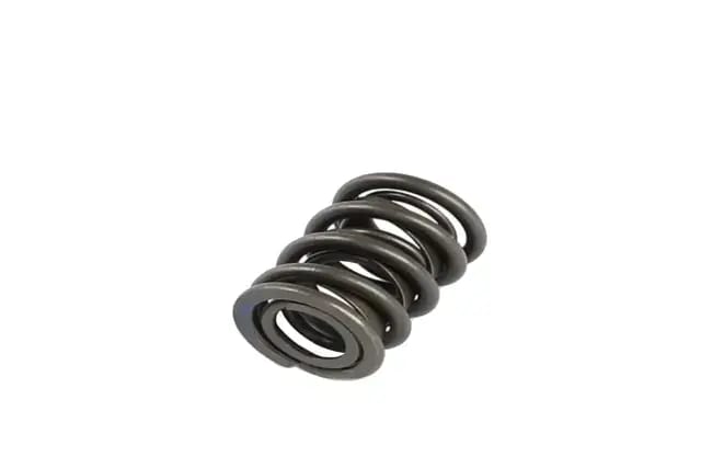 Valve Springs thumbnail 3
