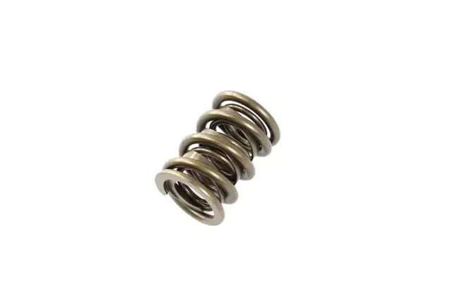 Valve Spring Dual