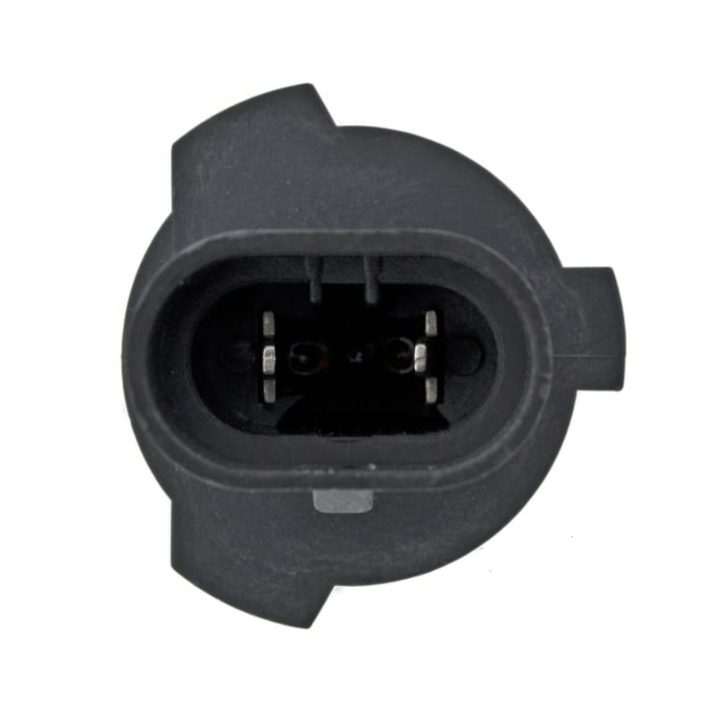 Hella Bulb 9006Xs 12V 55W Xen Wht Xb (2) thumbnail 5