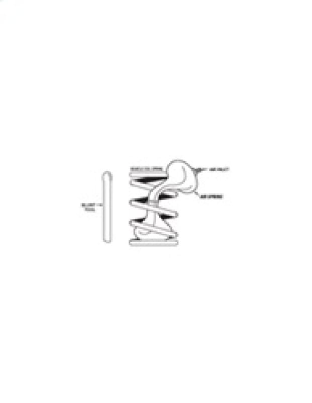 Firestone Coil-Rite Air Helper Spring Kit Rear 10-18 Dodge RAM 1500 2WD/4WD (W237604185) thumbnail 2