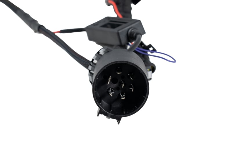Diode Dynamics C1R 7-pin (Single) Output Trailer Harness thumbnail 2