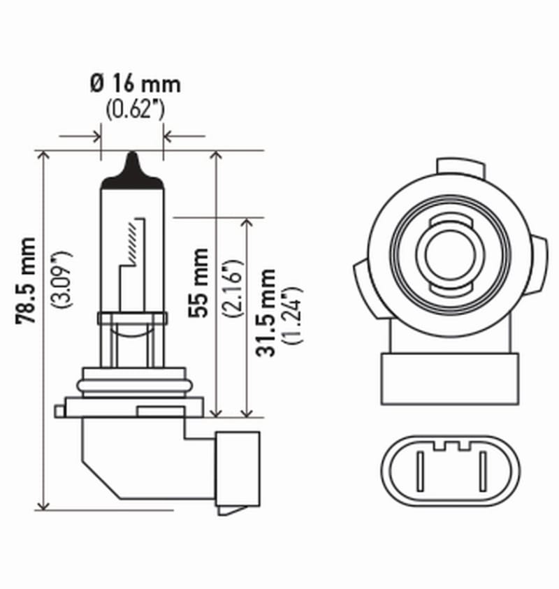 Hella Bulb H10/9145 12V 45W Py20D T4 (2) thumbnail 2