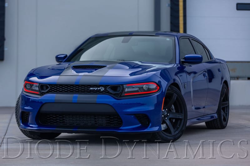 Diode Dynamics RGBW DRL LED Boards for 2019-2021 Dodge Charger thumbnail 3