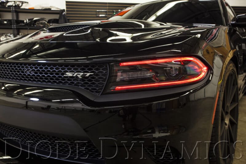 Diode Dynamics 2015-2018 Dodge Charger RGBW DRL LED Boards thumbnail 2