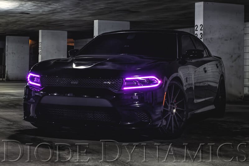Diode Dynamics 2015-2018 Dodge Charger RGBW DRL LED Boards thumbnail 4