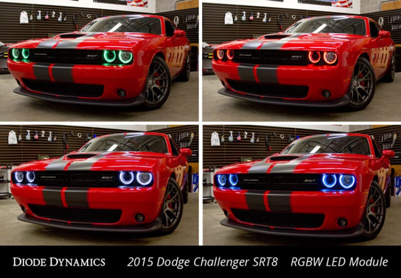 Diode Dynamics 15-21 Dodge Challenger RGBW DRL LED Boards thumbnail 5