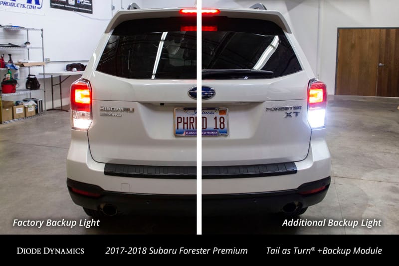 Diode Dynamics 17-18 Subaru Forester Premium (USDM) Tail as Turn +Backup Module Module Only thumbnail 6