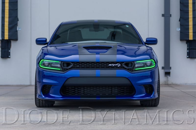 Diode Dynamics RGBW DRL LED Boards for 2019-2021 Dodge Charger thumbnail 4