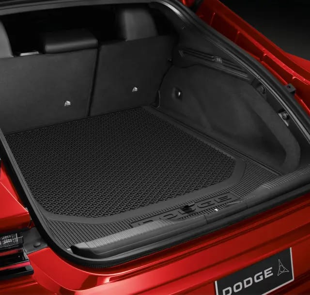 Molded Cargo Tray