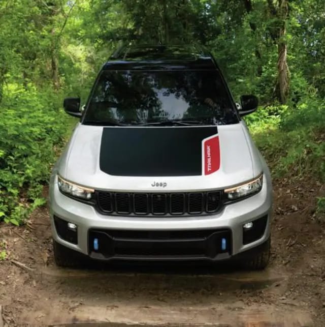 Hood Graphic